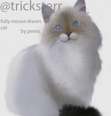 MouseDrawnCat