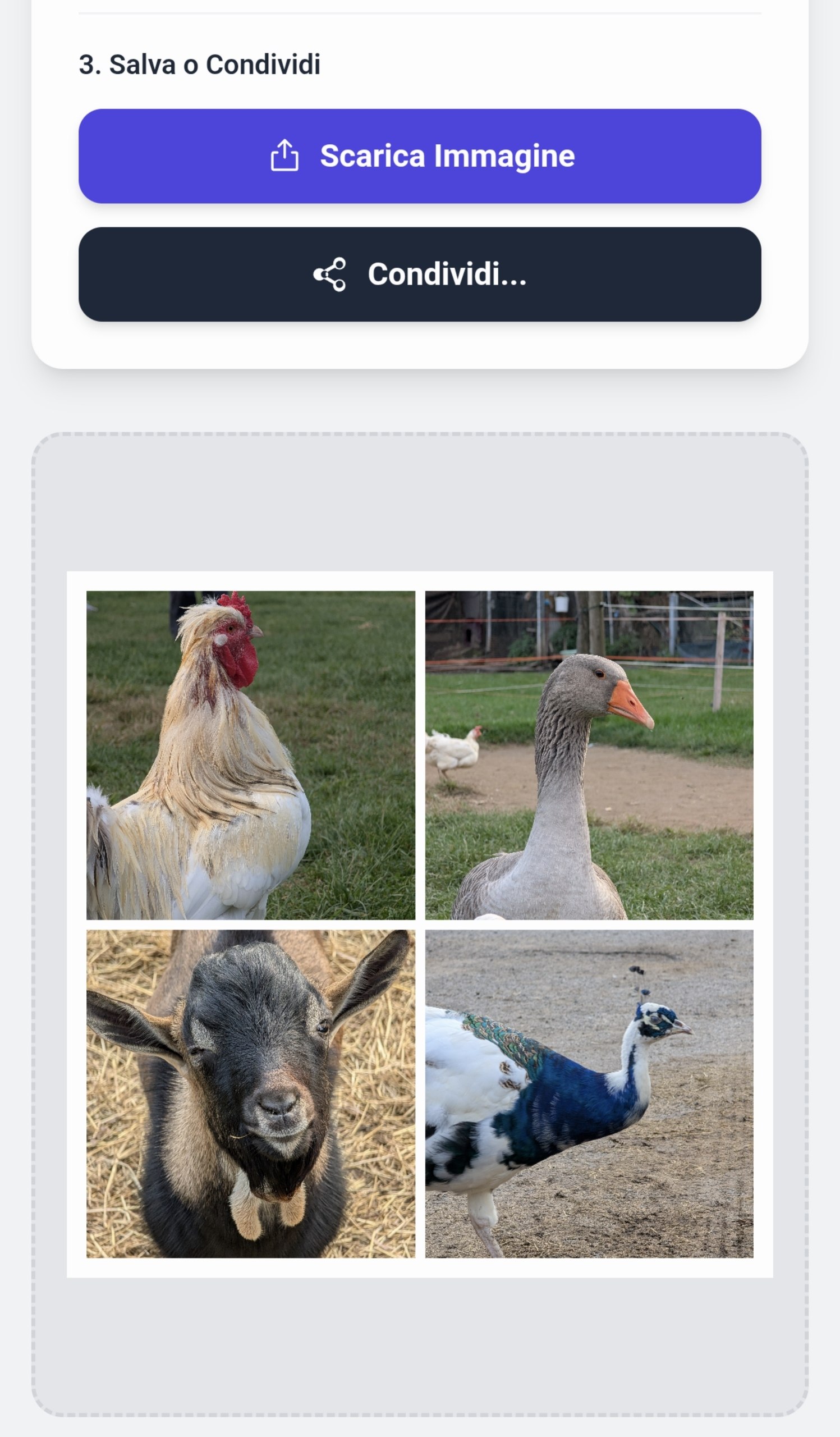 Grid Collage Maker